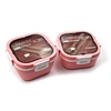japanese bento lunch box